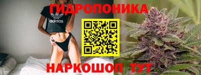 амф Чебоксары